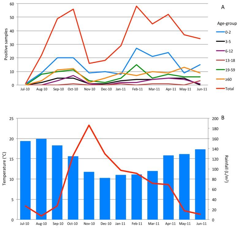 https://cdn.ncbi.nlm.nih.gov/pmc/blobs/219b/6409837/849eabf637ac/viruses-11-00144-g003.jpg