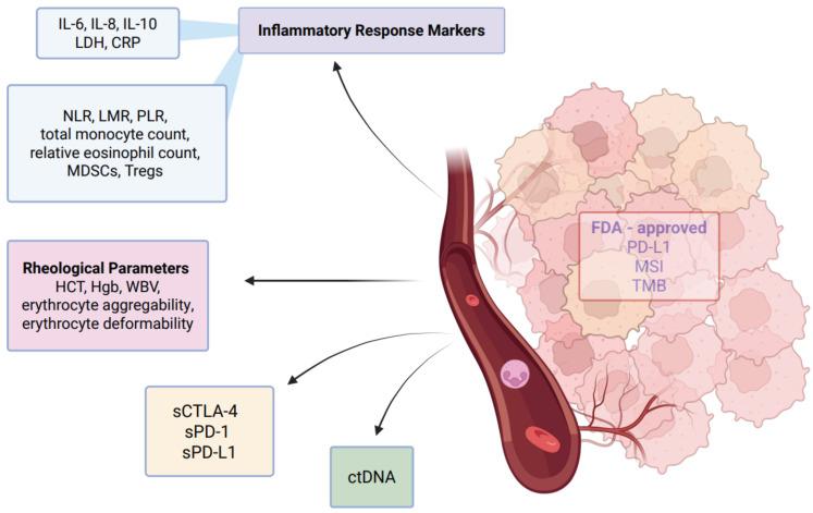 https://cdn.ncbi.nlm.nih.gov/pmc/blobs/219c/12190272/5b0e1b5db6bb/cancers-17-02001-g004.jpg