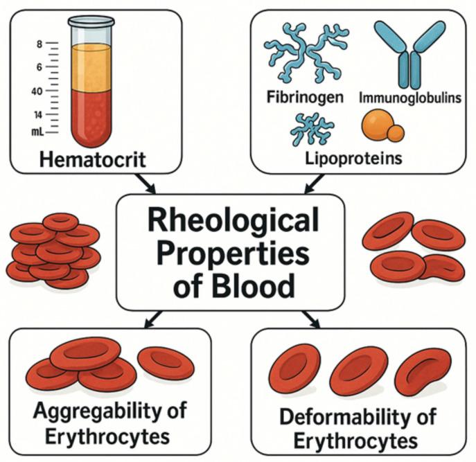 https://cdn.ncbi.nlm.nih.gov/pmc/blobs/219c/12190272/a2c337250f9b/cancers-17-02001-g003.jpg