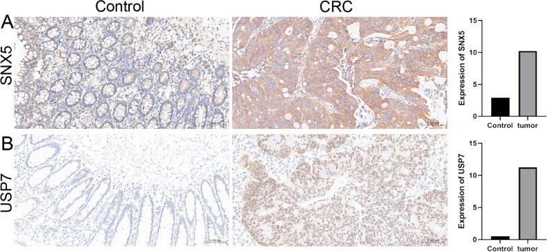 https://cdn.ncbi.nlm.nih.gov/pmc/blobs/219d/12183847/2361cdcc1130/40001_2025_2779_Fig4_HTML.jpg