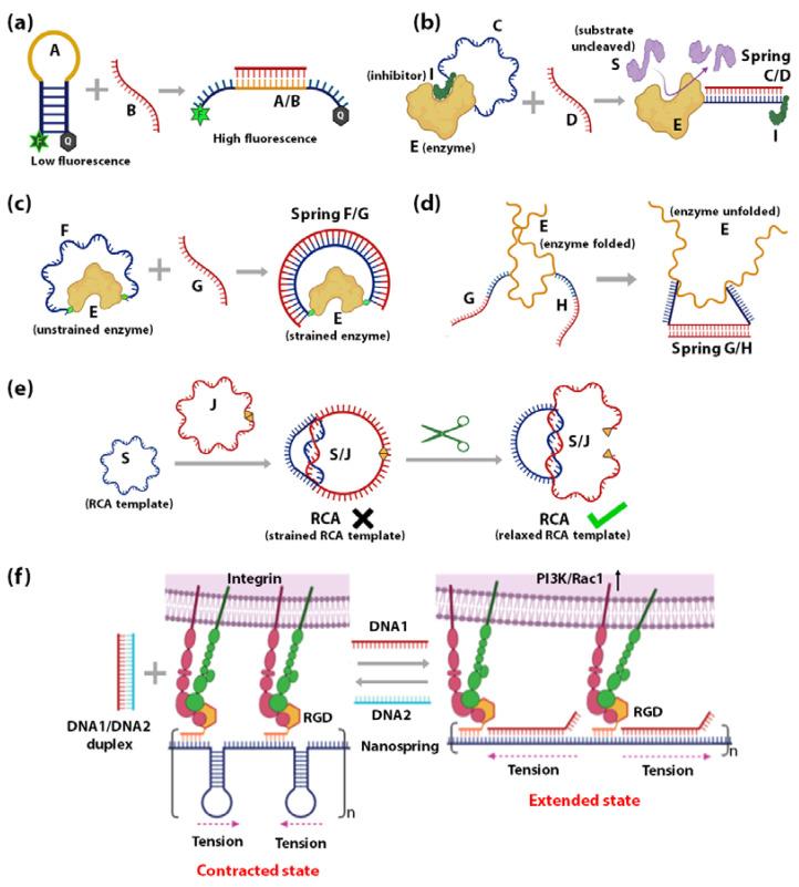 https://cdn.ncbi.nlm.nih.gov/pmc/blobs/219d/7764255/5564b85e736d/sensors-20-07019-g002.jpg