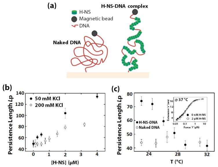 https://cdn.ncbi.nlm.nih.gov/pmc/blobs/219d/7764255/87c8a07ab90d/sensors-20-07019-g006.jpg