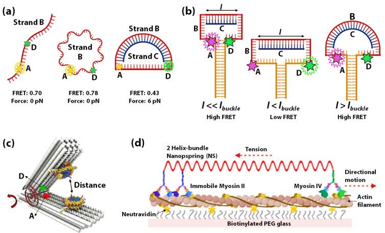 https://cdn.ncbi.nlm.nih.gov/pmc/blobs/219d/7764255/ef92e085bf56/sensors-20-07019-g003.jpg
