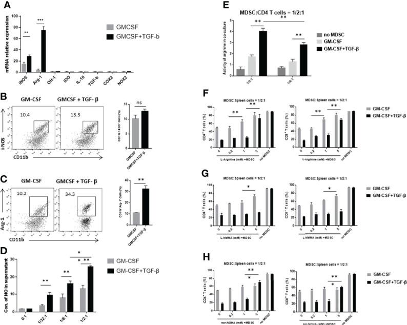 https://cdn.ncbi.nlm.nih.gov/pmc/blobs/219d/9300822/92b2007d04e4/fimmu-13-919674-g004.jpg