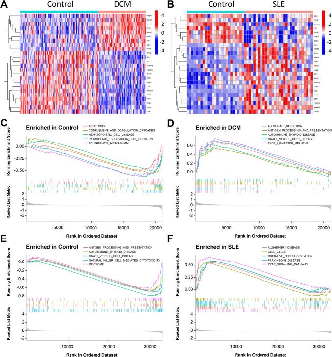 https://cdn.ncbi.nlm.nih.gov/pmc/blobs/219e/12343684/2874b4b6b183/fimmu-16-1606920-g004.jpg