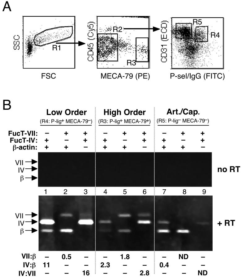 https://cdn.ncbi.nlm.nih.gov/pmc/blobs/219e/2194247/2eb19e49fe94/20030182f6.jpg