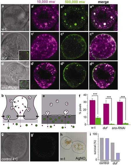 https://cdn.ncbi.nlm.nih.gov/pmc/blobs/219f/2687078/59d4c7791ec0/ukmss-4238-f0005.jpg