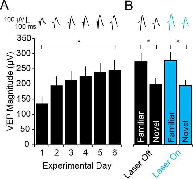 https://cdn.ncbi.nlm.nih.gov/pmc/blobs/21a2/4786407/08ba6813f416/elife-11450-fig5-figsupp1.jpg