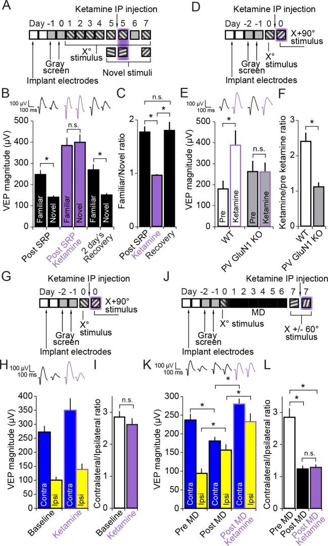 https://cdn.ncbi.nlm.nih.gov/pmc/blobs/21a2/4786407/21e9d54fef47/elife-11450-fig7.jpg