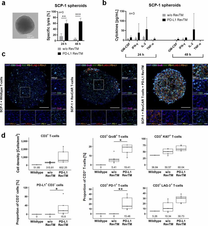 https://cdn.ncbi.nlm.nih.gov/pmc/blobs/21a4/11808103/39fe829d61c2/41698_2025_828_Fig5_HTML.jpg