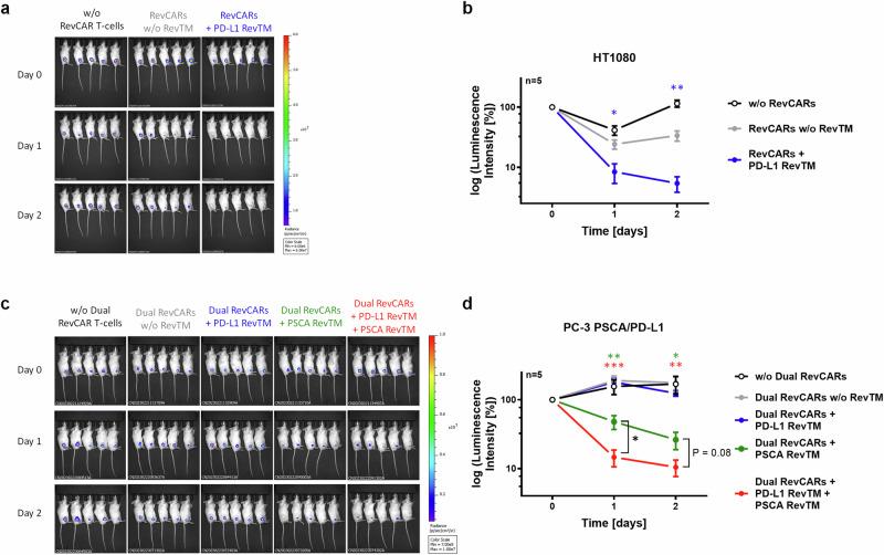 https://cdn.ncbi.nlm.nih.gov/pmc/blobs/21a4/11808103/76041cf7e106/41698_2025_828_Fig8_HTML.jpg