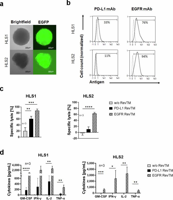 https://cdn.ncbi.nlm.nih.gov/pmc/blobs/21a4/11808103/8860e1474e3c/41698_2025_828_Fig6_HTML.jpg