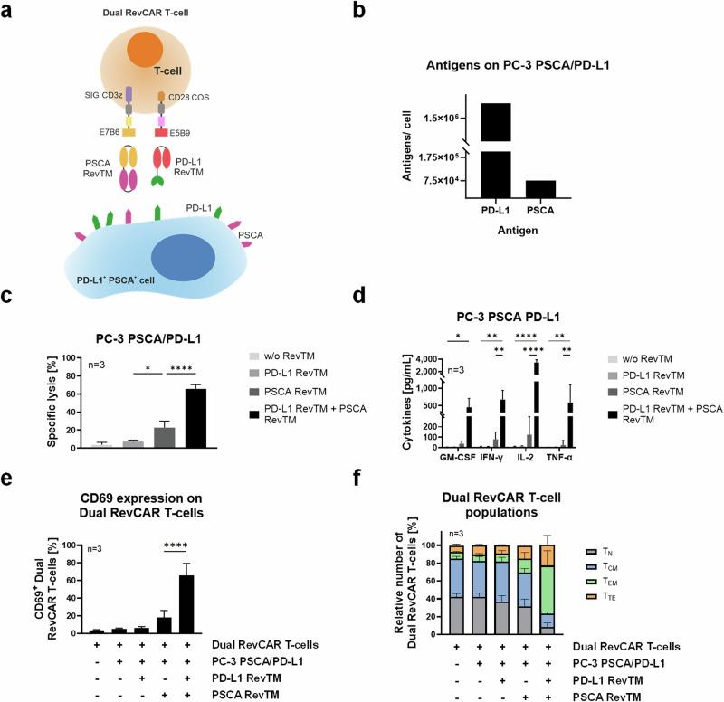 https://cdn.ncbi.nlm.nih.gov/pmc/blobs/21a4/11808103/b3de0a895227/41698_2025_828_Fig7_HTML.jpg