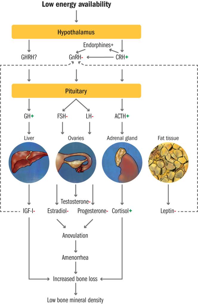 https://cdn.ncbi.nlm.nih.gov/pmc/blobs/21a4/7159262/d08c28639cbd/EC-19-0537fig1.jpg