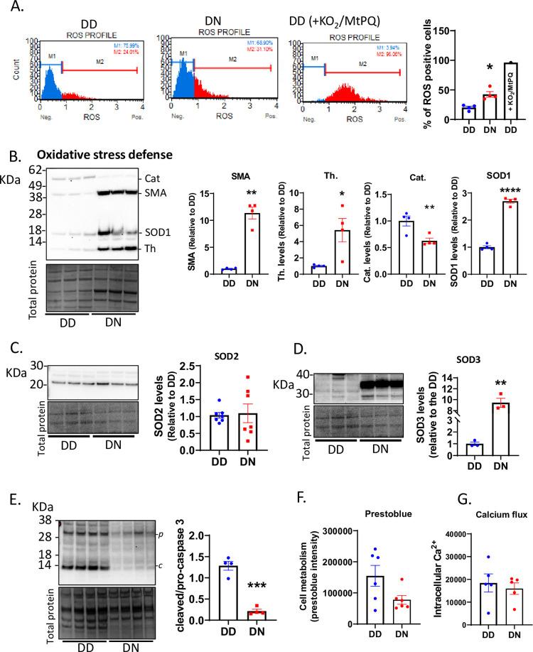 https://cdn.ncbi.nlm.nih.gov/pmc/blobs/21a4/9851538/3667a5bef103/pgen.1010565.g003.jpg