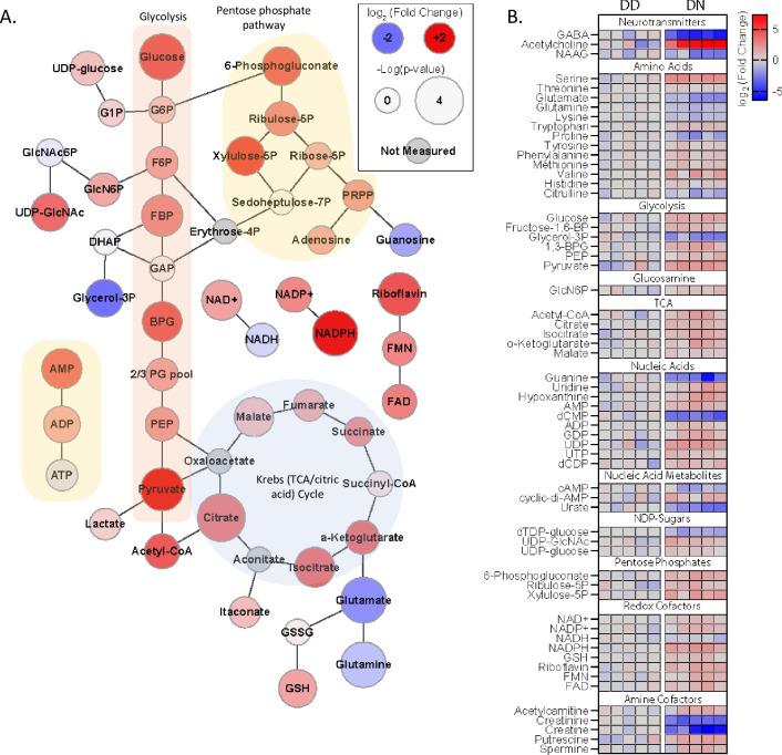 https://cdn.ncbi.nlm.nih.gov/pmc/blobs/21a4/9851538/c82b1912c7f1/pgen.1010565.g004.jpg
