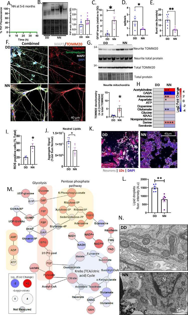 https://cdn.ncbi.nlm.nih.gov/pmc/blobs/21a4/9851538/cf6a9e36537e/pgen.1010565.g007.jpg