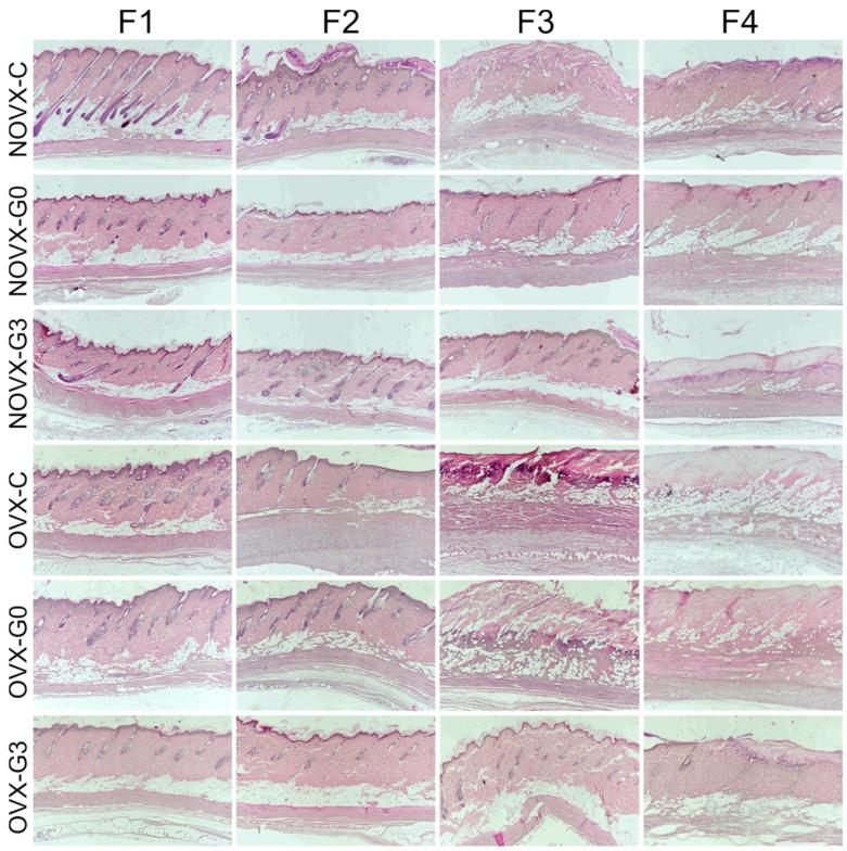 https://cdn.ncbi.nlm.nih.gov/pmc/blobs/21a5/6100613/cfe78ba942f0/molecules-23-01637-g002.jpg