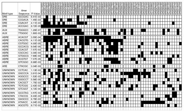 https://cdn.ncbi.nlm.nih.gov/pmc/blobs/21a6/2568001/62afc9345a77/1471-2164-9-434-4.jpg