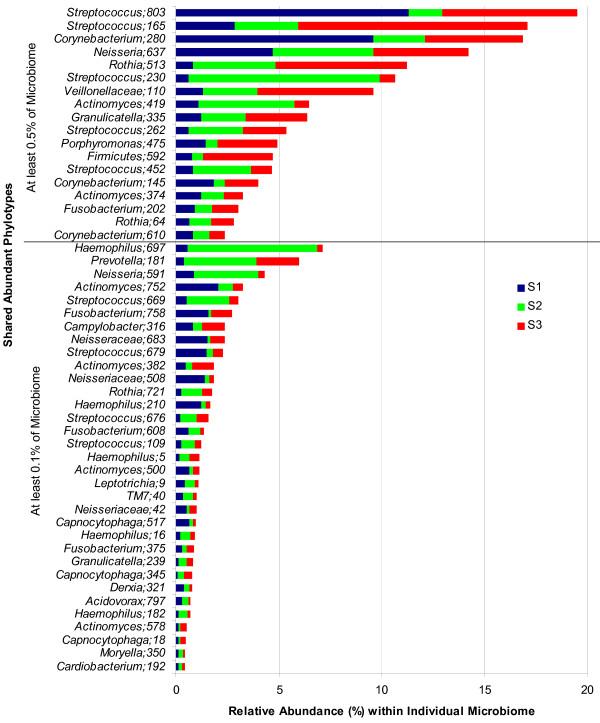 https://cdn.ncbi.nlm.nih.gov/pmc/blobs/21a6/2805672/55a6b00acc88/1471-2180-9-259-4.jpg