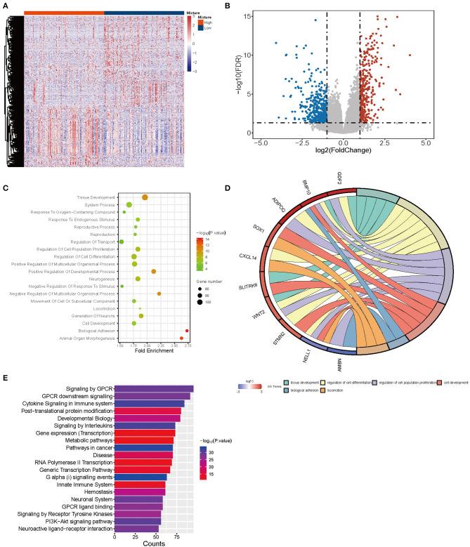 https://cdn.ncbi.nlm.nih.gov/pmc/blobs/21a7/7527443/1164902ffe05/fmed-07-00451-g0004.jpg
