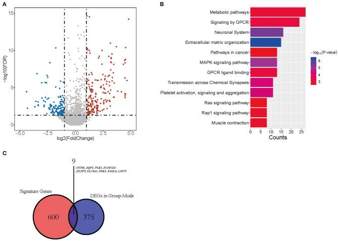https://cdn.ncbi.nlm.nih.gov/pmc/blobs/21a7/7527443/1c743b4e2fab/fmed-07-00451-g0005.jpg