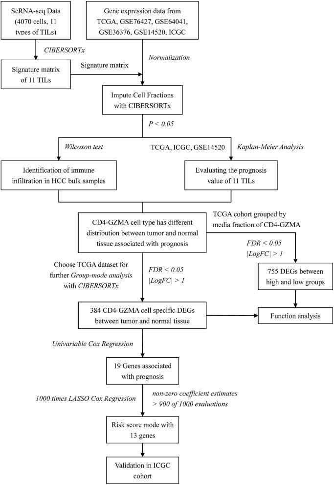 https://cdn.ncbi.nlm.nih.gov/pmc/blobs/21a7/7527443/7deab78702b2/fmed-07-00451-g0001.jpg