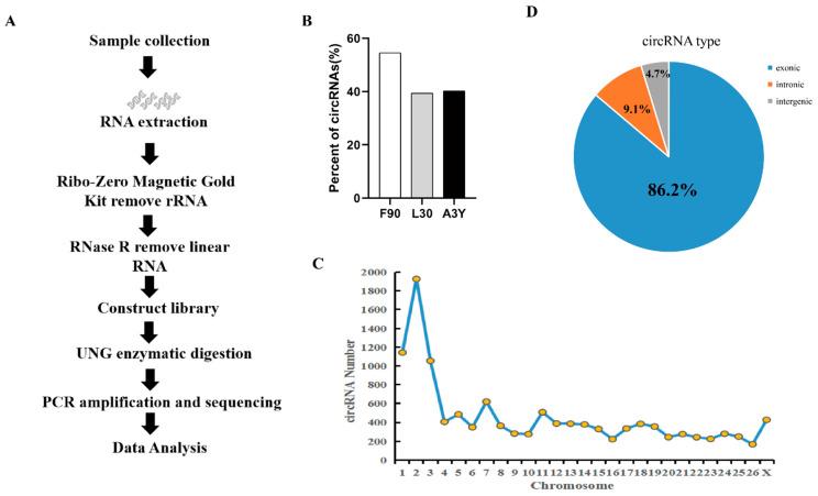 https://cdn.ncbi.nlm.nih.gov/pmc/blobs/21a9/9781509/0f0020ff1450/ijms-23-16065-g001.jpg