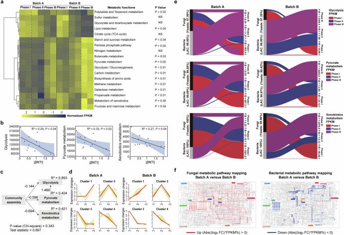 https://cdn.ncbi.nlm.nih.gov/pmc/blobs/21aa/12214495/61cd10635fb9/41522_2025_729_Fig5_HTML.jpg