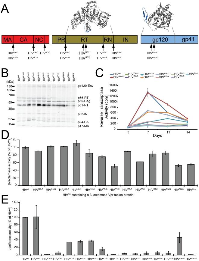 https://cdn.ncbi.nlm.nih.gov/pmc/blobs/21aa/3037950/34698fb0f600/pone.0017016.g001.jpg