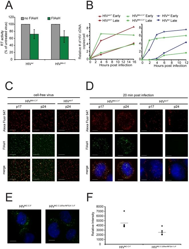 https://cdn.ncbi.nlm.nih.gov/pmc/blobs/21aa/3037950/6dff00fa231e/pone.0017016.g003.jpg