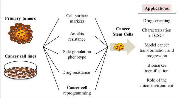 https://cdn.ncbi.nlm.nih.gov/pmc/blobs/21aa/4331724/40ce30de6479/1471-2407-15-S1-S1-2.jpg