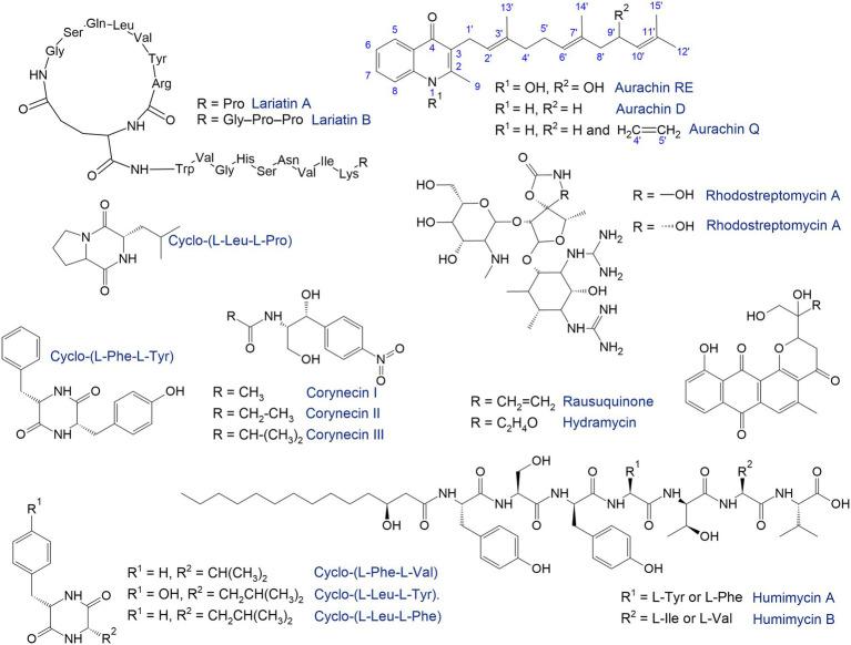 https://cdn.ncbi.nlm.nih.gov/pmc/blobs/21ab/9557007/1442ea7ae1ef/fmicb-13-967127-g007.jpg