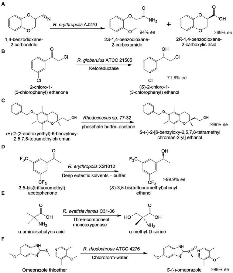 https://cdn.ncbi.nlm.nih.gov/pmc/blobs/21ab/9557007/6a76a4888040/fmicb-13-967127-g003.jpg