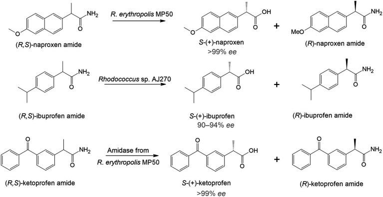 https://cdn.ncbi.nlm.nih.gov/pmc/blobs/21ab/9557007/8f35803e24a6/fmicb-13-967127-g001.jpg