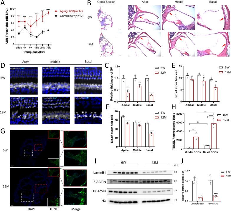 https://cdn.ncbi.nlm.nih.gov/pmc/blobs/21ac/11225416/061768743e7c/13148_2024_1702_Fig1_HTML.jpg