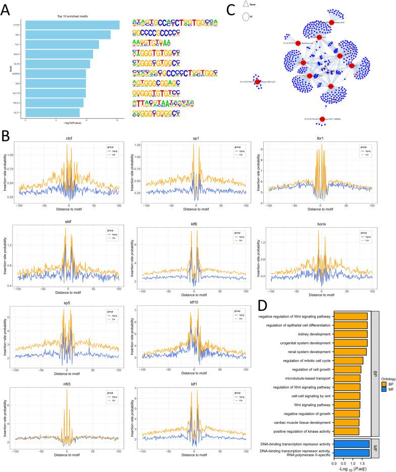 https://cdn.ncbi.nlm.nih.gov/pmc/blobs/21ac/11225416/2c0626a65045/13148_2024_1702_Fig3_HTML.jpg