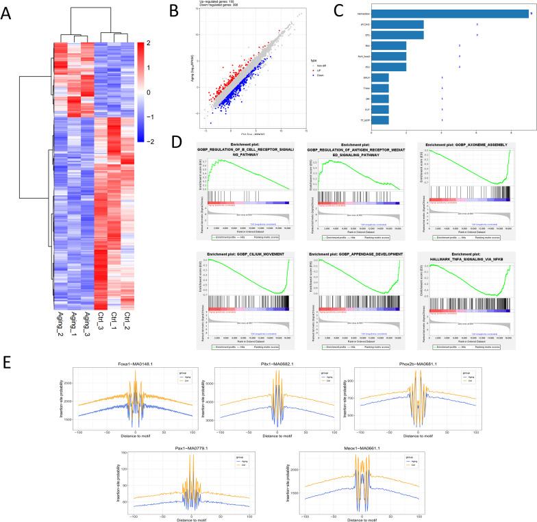 https://cdn.ncbi.nlm.nih.gov/pmc/blobs/21ac/11225416/6e3df9956d2b/13148_2024_1702_Fig4_HTML.jpg