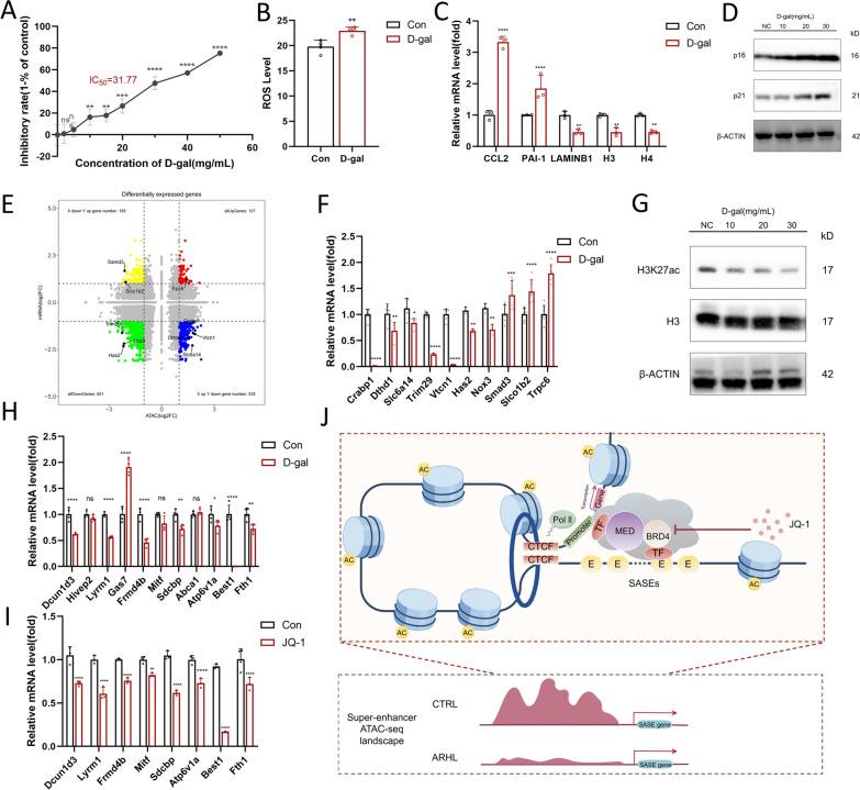 https://cdn.ncbi.nlm.nih.gov/pmc/blobs/21ac/11225416/8bdddb27dc9b/13148_2024_1702_Fig7_HTML.jpg