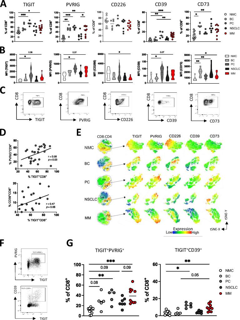 https://cdn.ncbi.nlm.nih.gov/pmc/blobs/21ac/12022200/13e8d2c710d5/262_2025_4030_Fig2_HTML.jpg