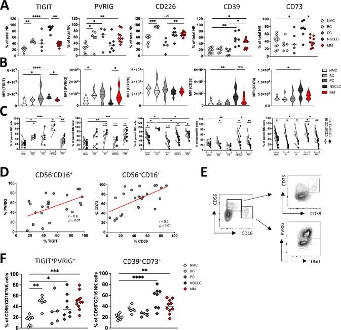 https://cdn.ncbi.nlm.nih.gov/pmc/blobs/21ac/12022200/328534099533/262_2025_4030_Fig3_HTML.jpg
