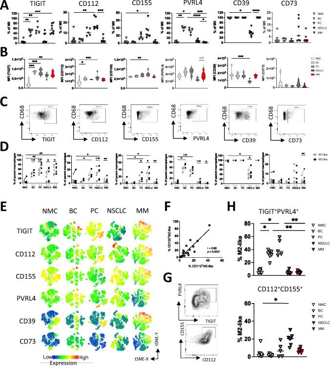 https://cdn.ncbi.nlm.nih.gov/pmc/blobs/21ac/12022200/e8669f408964/262_2025_4030_Fig4_HTML.jpg