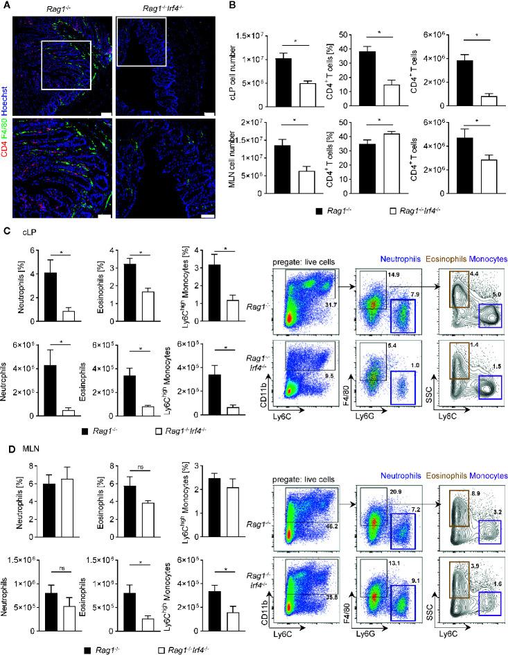 https://cdn.ncbi.nlm.nih.gov/pmc/blobs/21ac/7879684/51ffde9dbc38/fimmu-11-590893-g002.jpg