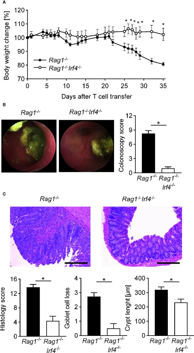 https://cdn.ncbi.nlm.nih.gov/pmc/blobs/21ac/7879684/9350d18e8a81/fimmu-11-590893-g001.jpg