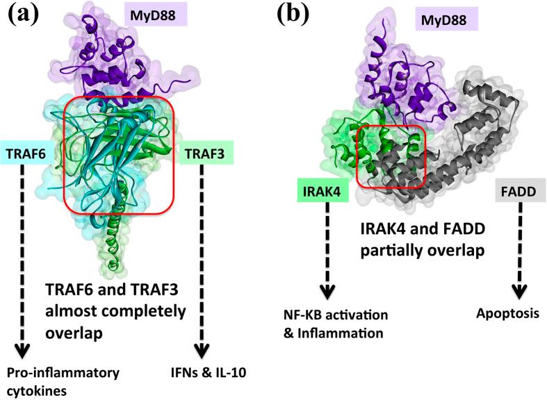 https://cdn.ncbi.nlm.nih.gov/pmc/blobs/21ad/4544004/6933bdd611c5/srep13128-f7.jpg