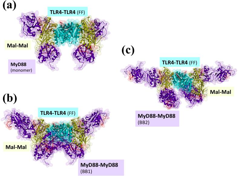https://cdn.ncbi.nlm.nih.gov/pmc/blobs/21ad/4544004/dbeeb87677be/srep13128-f5.jpg