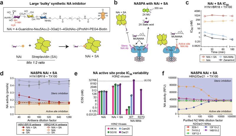https://cdn.ncbi.nlm.nih.gov/pmc/blobs/21af/12145422/011f532582eb/41541_2025_1173_Fig7_HTML.jpg
