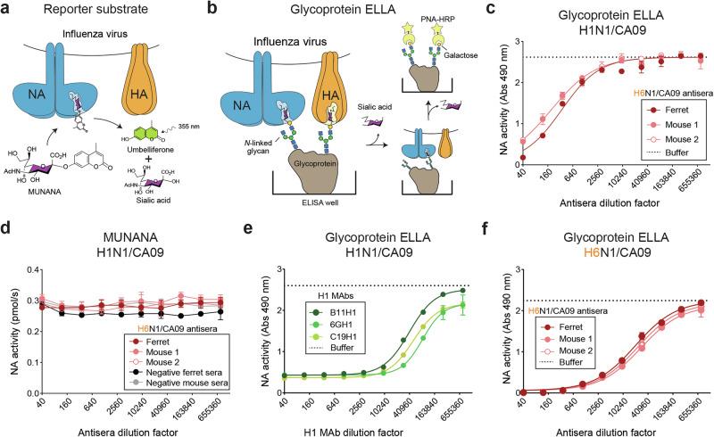 https://cdn.ncbi.nlm.nih.gov/pmc/blobs/21af/12145422/456ef95875ab/41541_2025_1173_Fig1_HTML.jpg
