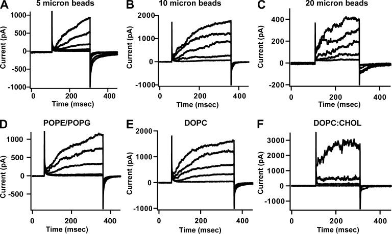 https://cdn.ncbi.nlm.nih.gov/pmc/blobs/21af/4692488/b6ad26ab1d74/JGP_201511448_Fig8.jpg