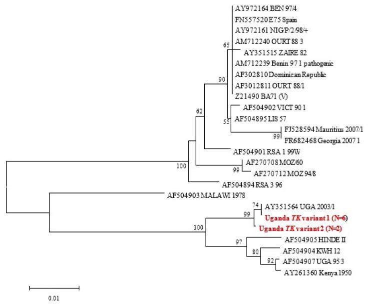 https://cdn.ncbi.nlm.nih.gov/pmc/blobs/21b2/10777903/f5d02328b8b9/animals-14-00071-g004.jpg